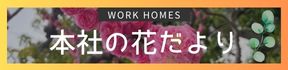 本社の花だより